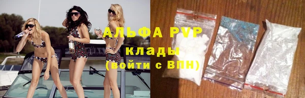 прущие грибы Лабытнанги