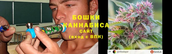 прущие грибы Лабытнанги