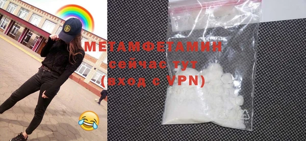 прущие грибы Лабытнанги