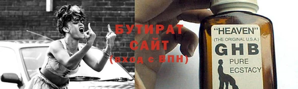 прущие грибы Лабытнанги
