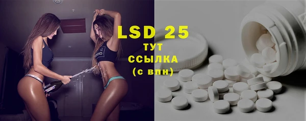 прущие грибы Лабытнанги