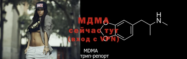прущие грибы Лабытнанги