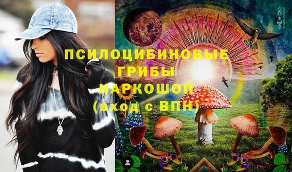 прущие грибы Лабытнанги