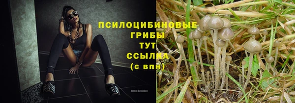 MDMA Лагань