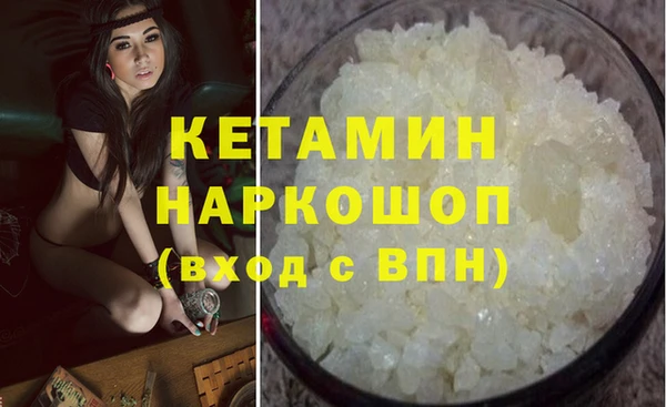 прущие грибы Лабытнанги