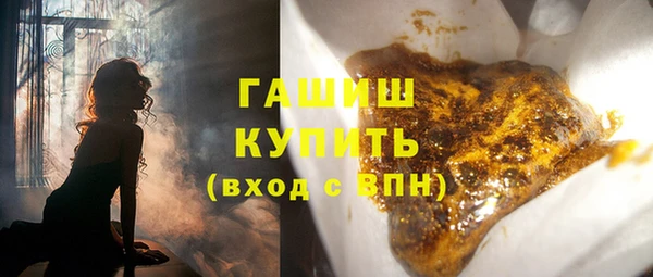 прущие грибы Лабытнанги